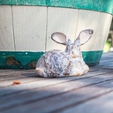 WEB-POLY SMALL RABBITS ROYAL