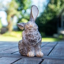 WEB-POLY SMALL RABBITS ROYAL