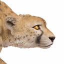11154073 - GID - Ornaments - XXL Cheetah Walking -9 -zoom4-1.jpg