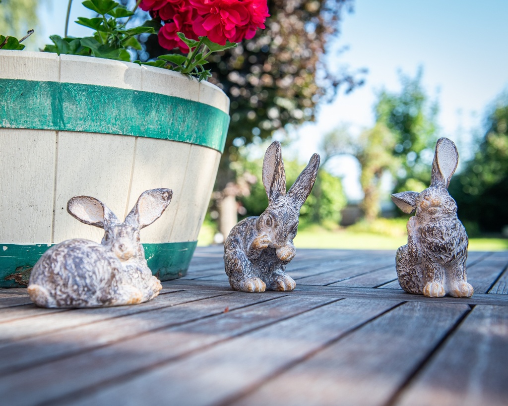 WEB-POLY SMALL RABBITS ROYAL