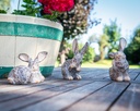 WEB-POLY SMALL RABBITS ROYAL