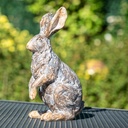 WEB-POLY MEDIUM RABBITS ROYAL