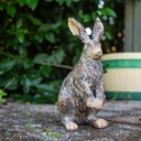WEB-POLY MEDIUM RABBITS ROYAL