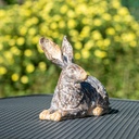 WEB-POLY MEDIUM RABBITS ROYAL