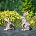WEB-POLY MEDIUM RABBITS ROYAL