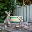 WEB-POLY MEDIUM RABBITS ROYAL