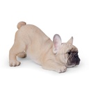 WEB-POLY PLAYING PUPS