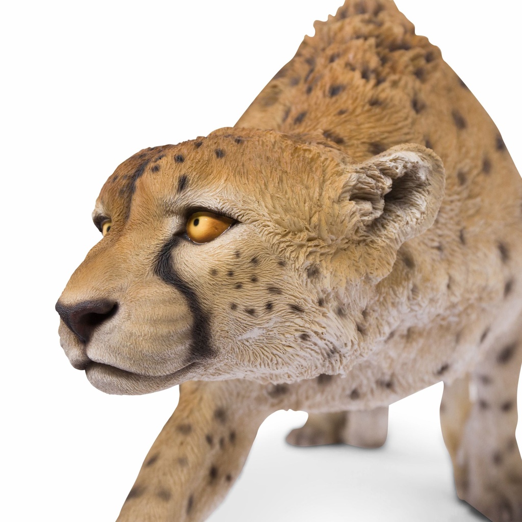 11154073 - GID - Ornaments - XXL Cheetah Walking -7 -zoom2-1.jpg