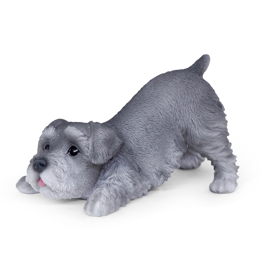WEB-POLY PLAYING PUPS