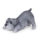 WEB-POLY PLAYING PUPS