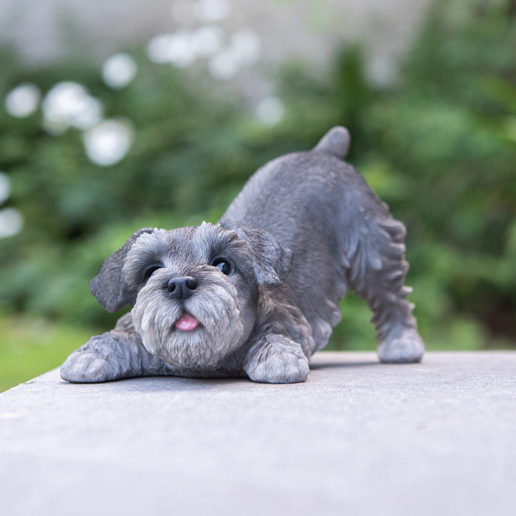 WEB-POLY PLAYING PUPS
