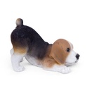 WEB-POLY PLAYING PUPS