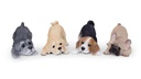 WEB-POLY PLAYING PUPS
