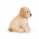 WEB-POLY SITTING PUPS