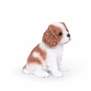 WEB-POLY SITTING PUPS