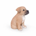 WEB-POLY SITTING PUPS