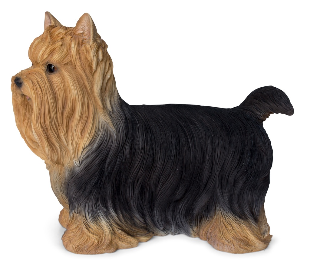 WEB-POLY YORKSHIRE DOG