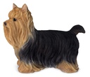 WEB-POLY YORKSHIRE DOG