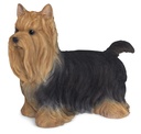 WEB-POLY YORKSHIRE DOG