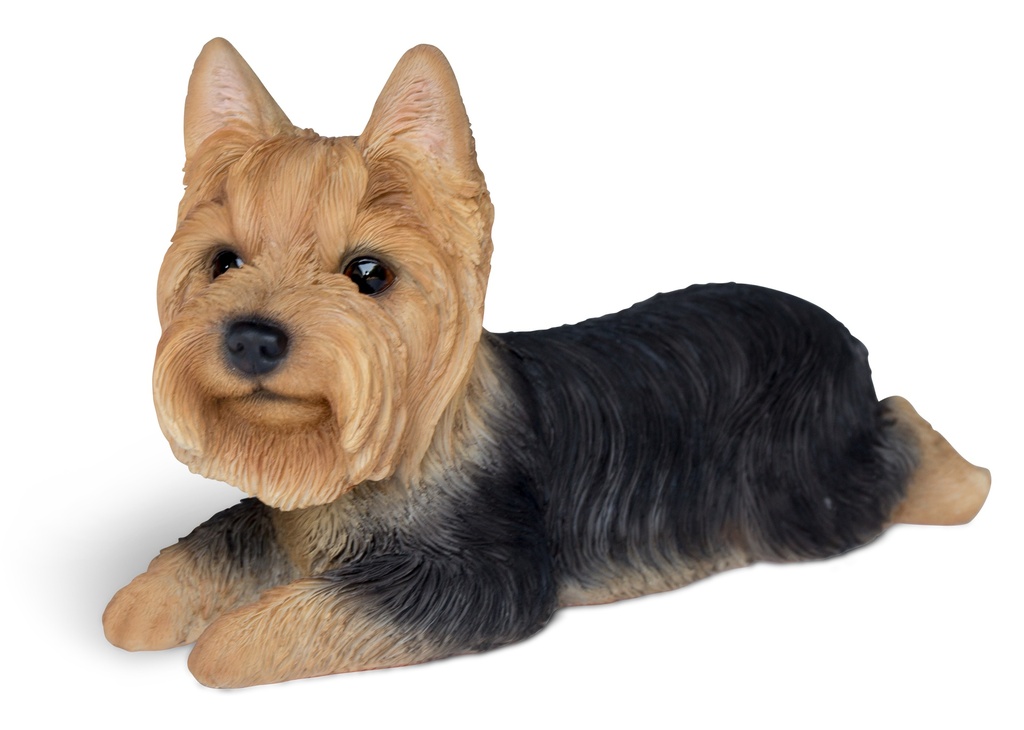 WEB-POLY YORKSHIRE DOG