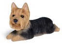 WEB-POLY YORKSHIRE DOG