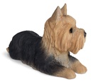 WEB-POLY YORKSHIRE DOG