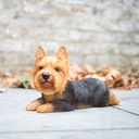 WEB-POLY YORKSHIRE DOG