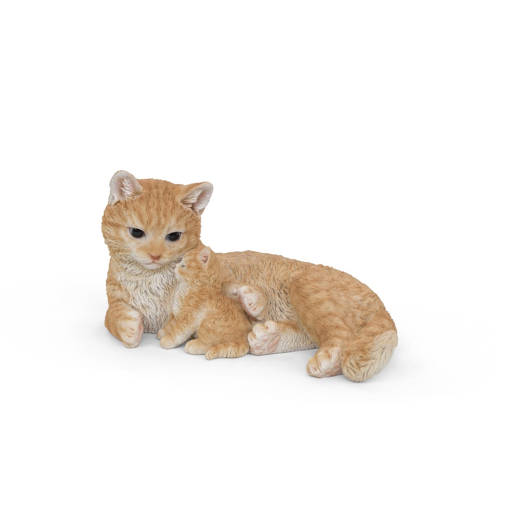 WEB-POLY CAT + KITTEN 35X21H18CM