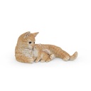 WEB-POLY CAT + KITTEN 35X21H18CM