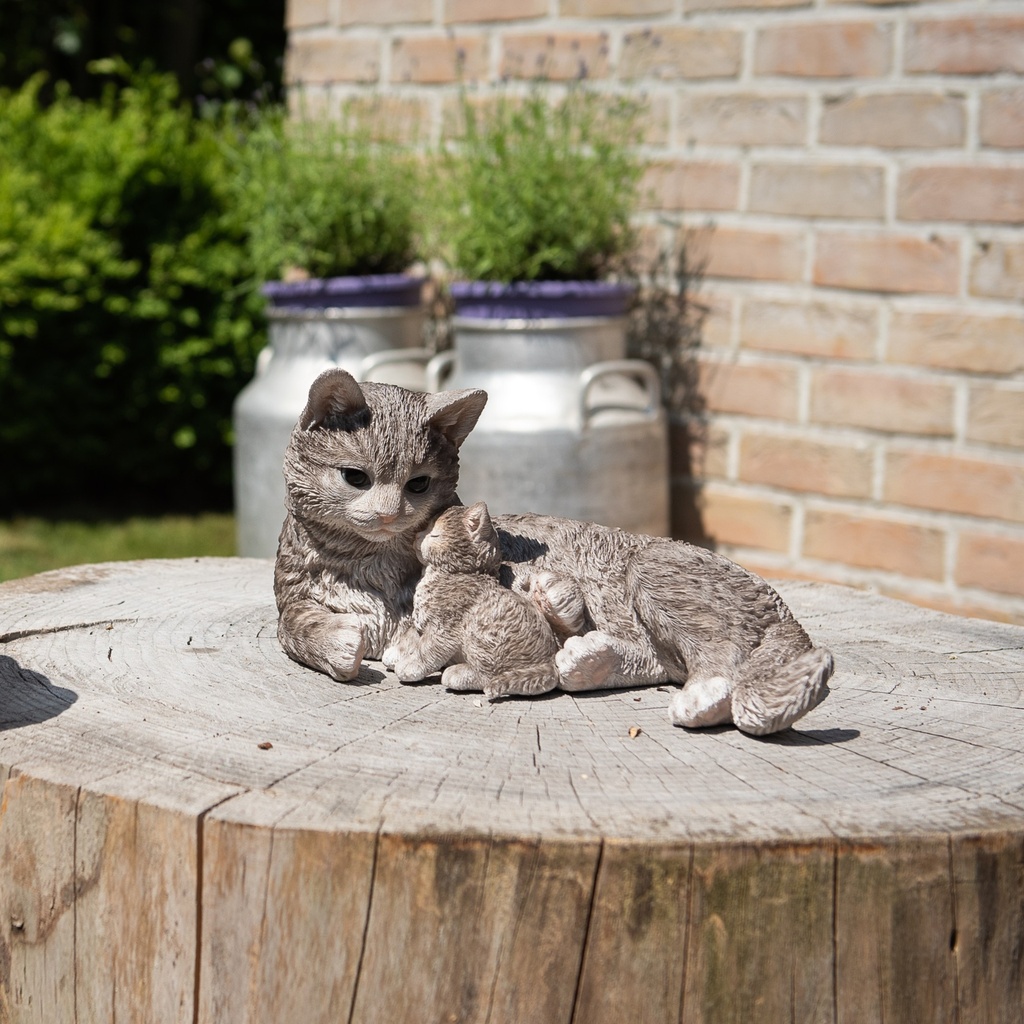 WEB-POLY CAT + KITTEN 35X21H18CM