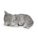 WEB-POLY SLEEPING CATS