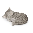 WEB-POLY SLEEPING CATS