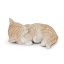 WEB-POLY SLEEPING CATS