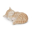 WEB-POLY SLEEPING CATS