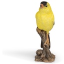 POLYRESINE CANARI SUR BRANCHE 17X5H12