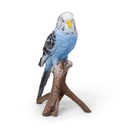 WEB-POLY BUDGERIGAR 10X8H17CM