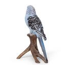 WEB-POLY BUDGERIGAR 10X8H17CM