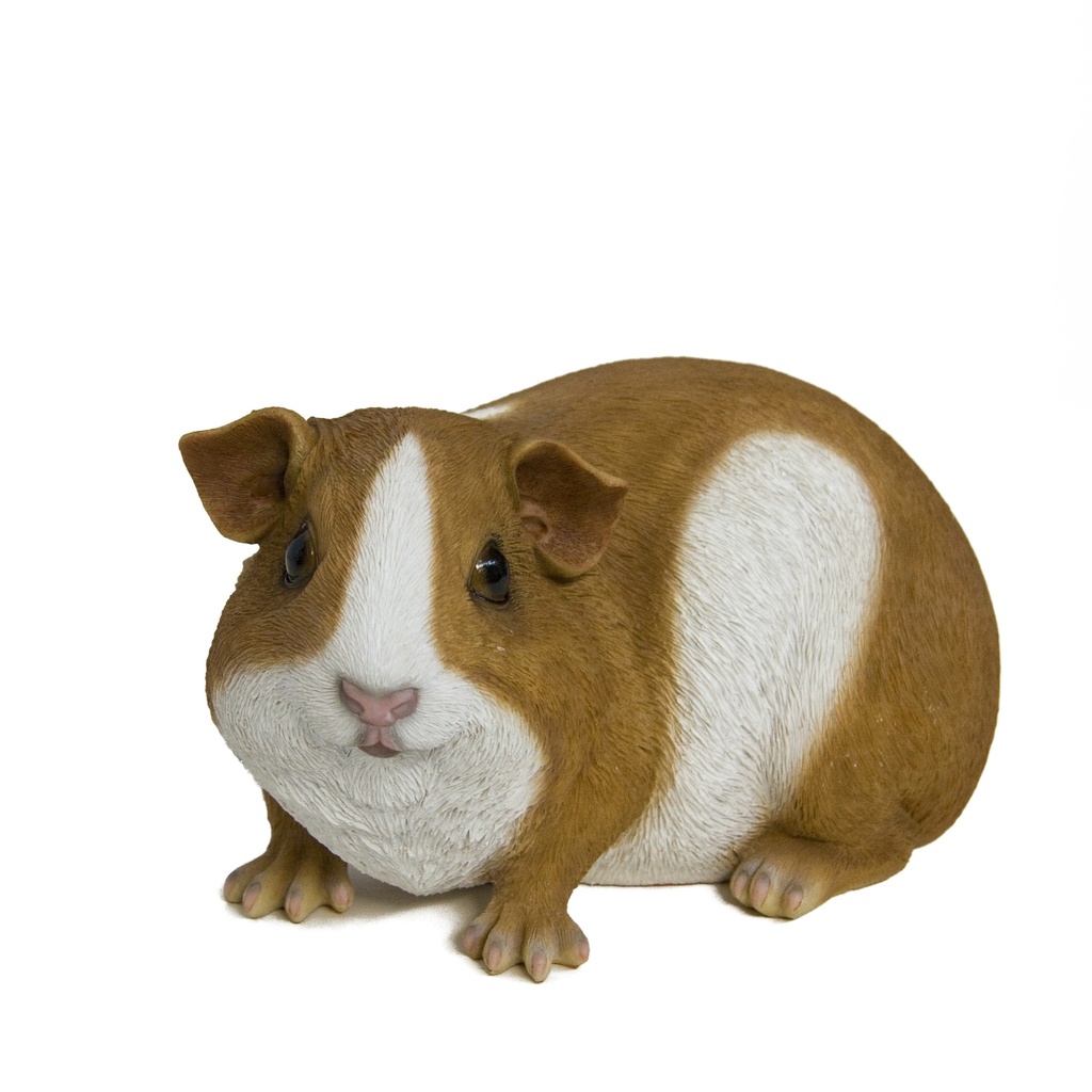 POLYRESINE COCHON INDE LARGE