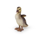 WEB-POLY BABY DUCK