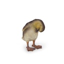 WEB-POLY BABY DUCK