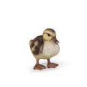 WEB-POLY BABY DUCK