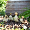 WEB-POLY BABY DUCK