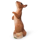 WEB-POLY STANDING SQUIRRALS