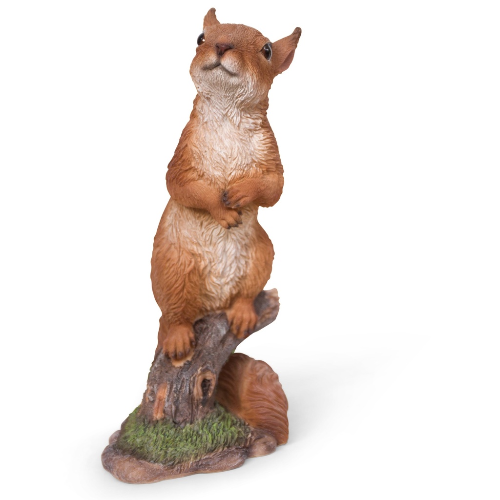 WEB-POLY STANDING SQUIRRALS