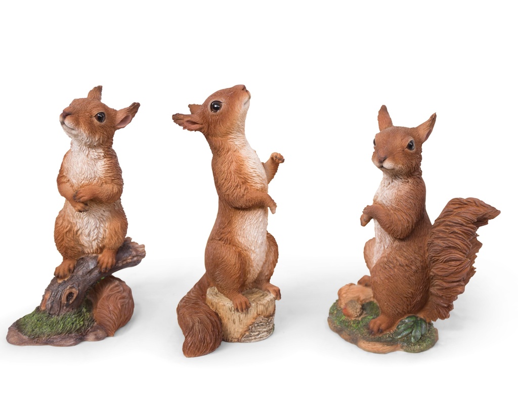 WEB-POLY STANDING SQUIRRALS