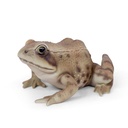 WEB-POLY FROG 15X12H8CM