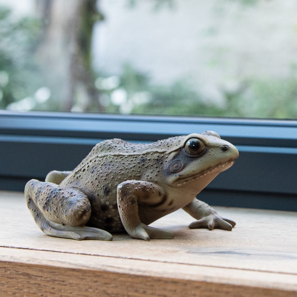 WEB-POLY FROG 15X12H8CM