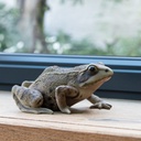 WEB-POLY FROG 15X12H8CM