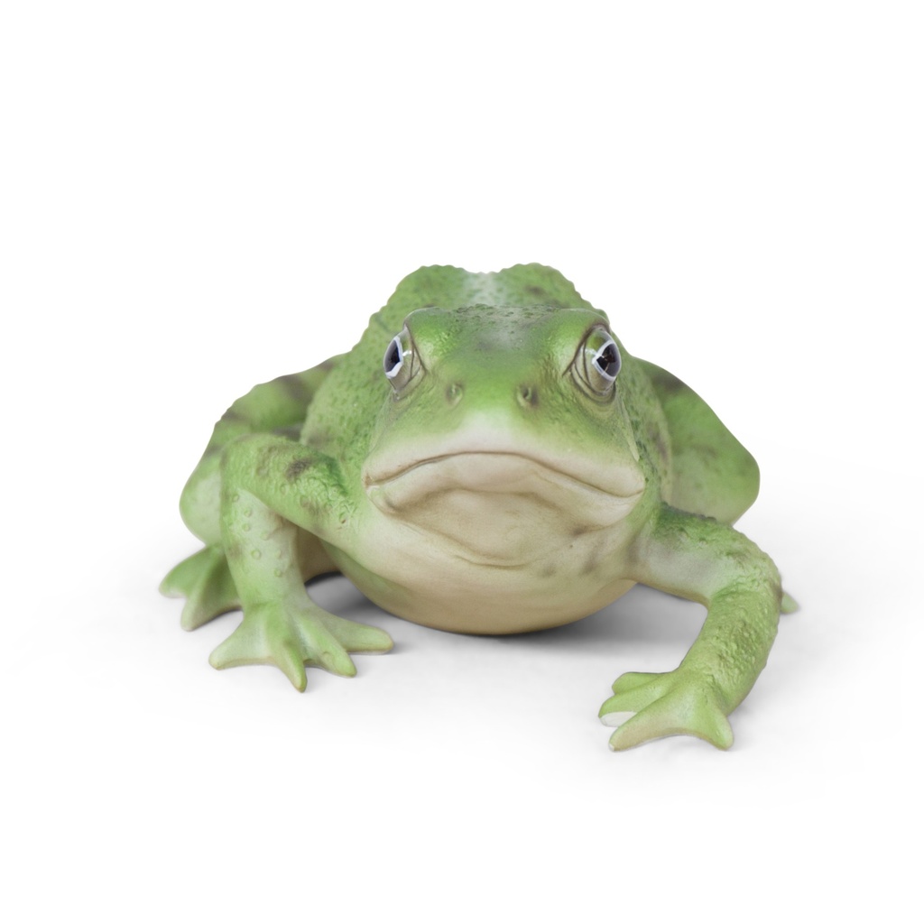 WEB-POLY FROG 15X12H8CM