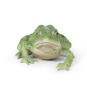 WEB-POLY FROG 15X12H8CM